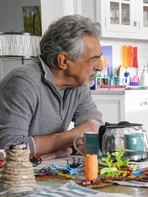 Esprits criminels S15 E2