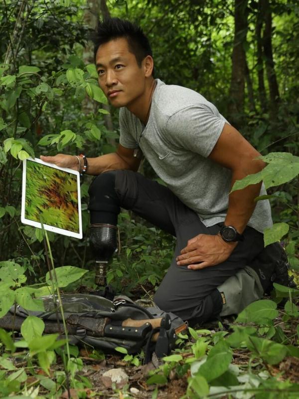 Les trésors perdus des Mayas