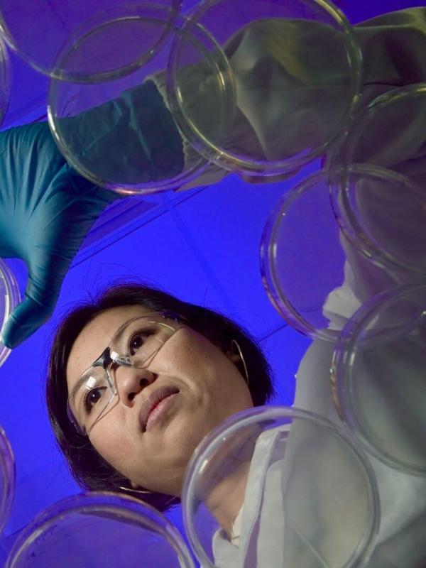 Man 2.0 R-évolution