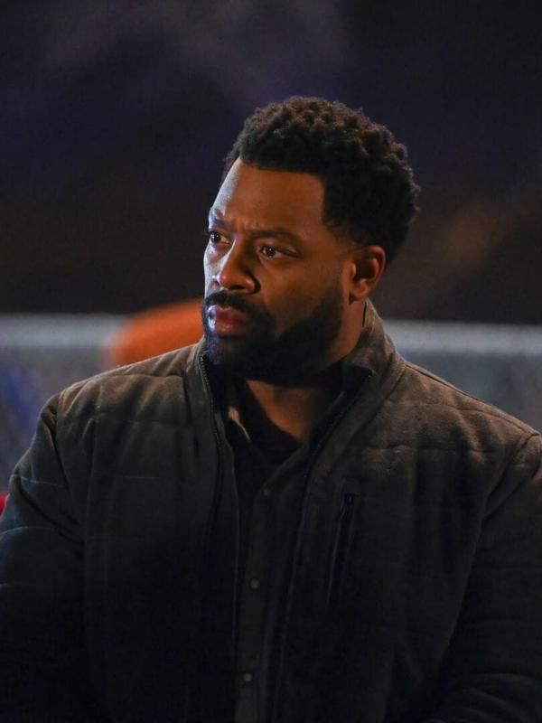 Chicago Police Department S12 E13