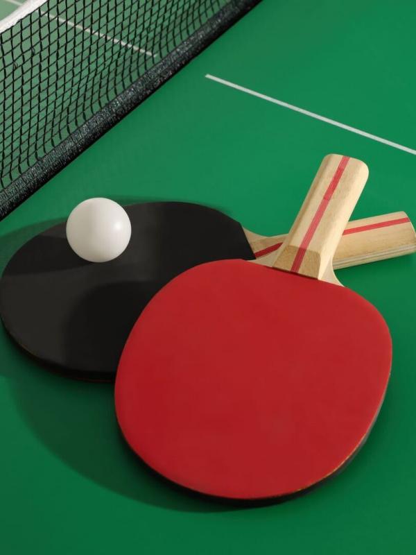 Tennis de table : WTT Champions Doha