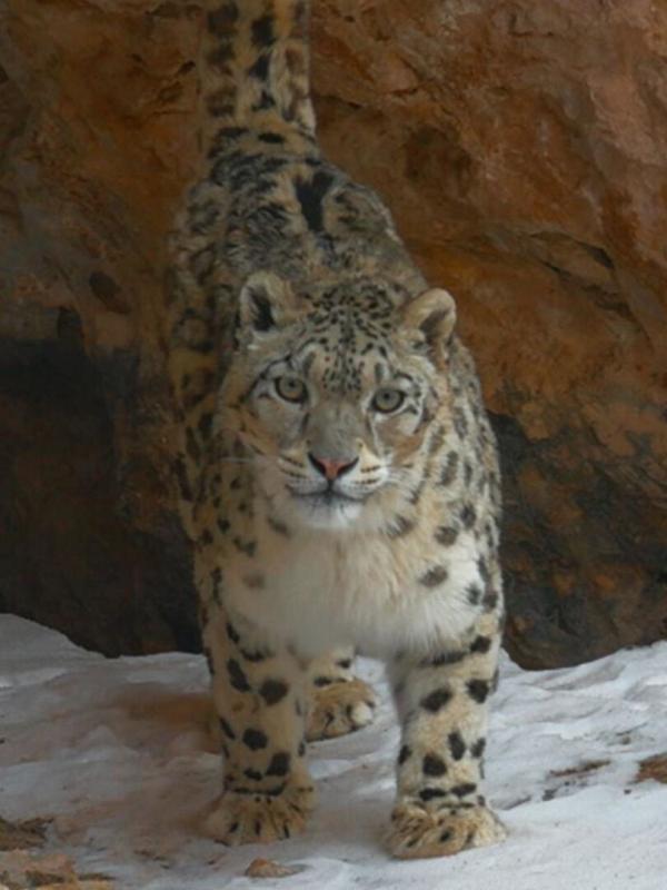 Destination Wild : Les merveilles de la Chine