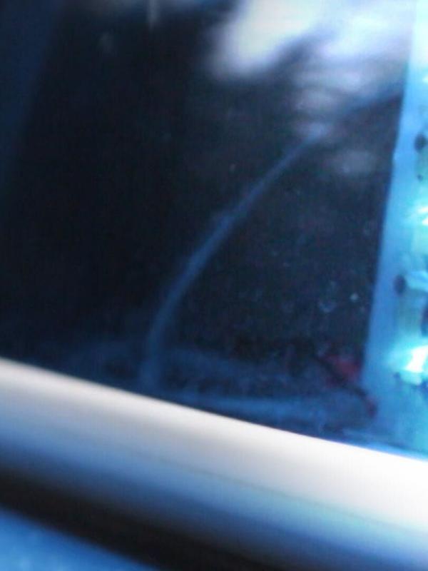 Der Blaulicht Report - Einzeleinsätze