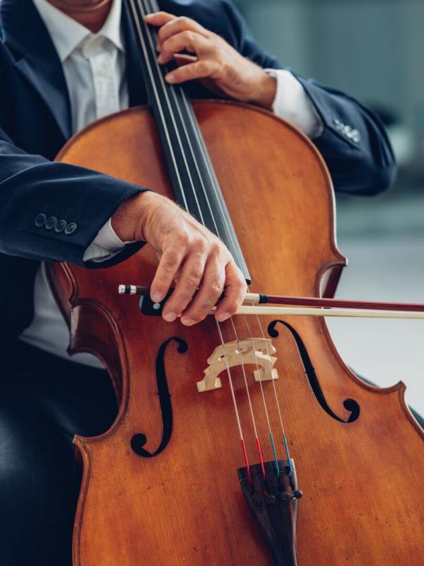Festval de Confolens - Panorama de clôture