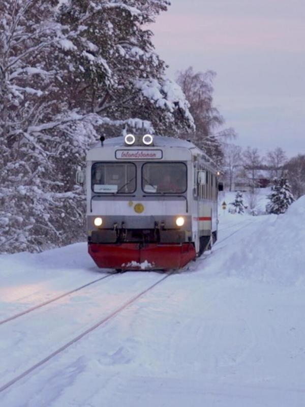 Des trains pas comme les autres