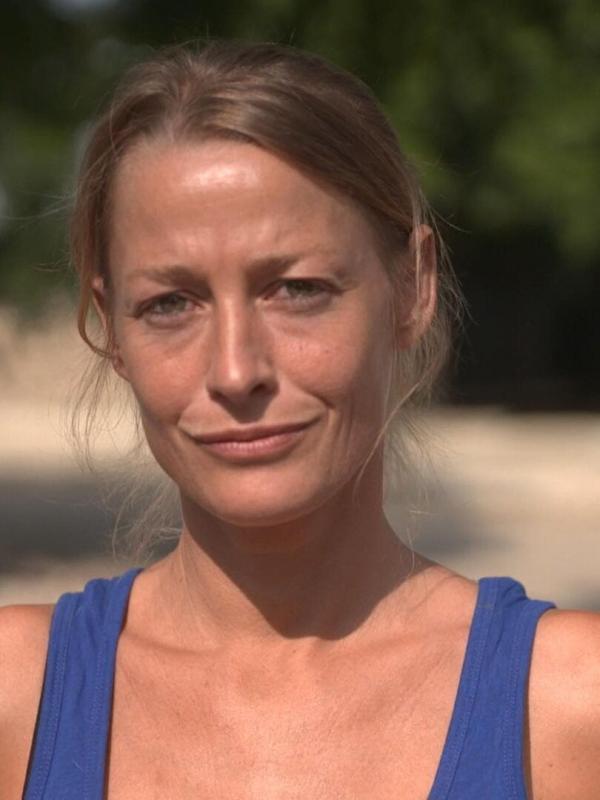 Chiens et chats sans collier