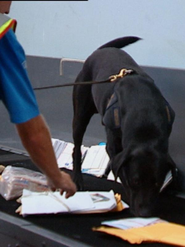 Douanes sous haute surveillance