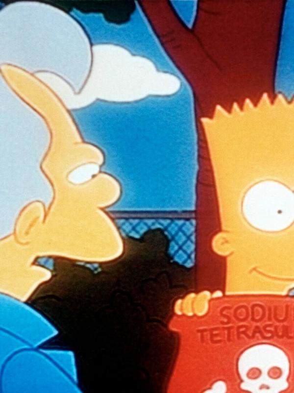 Les Simpson S2 E14