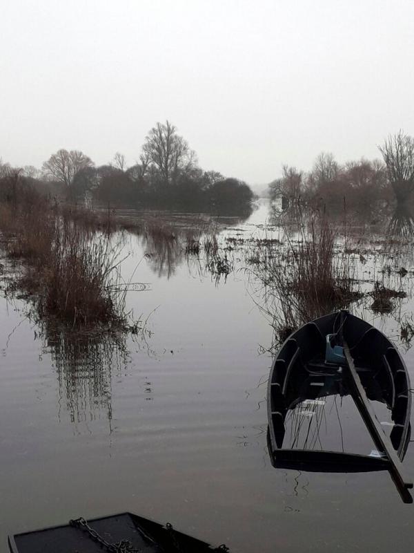 Ces marais méconnus
