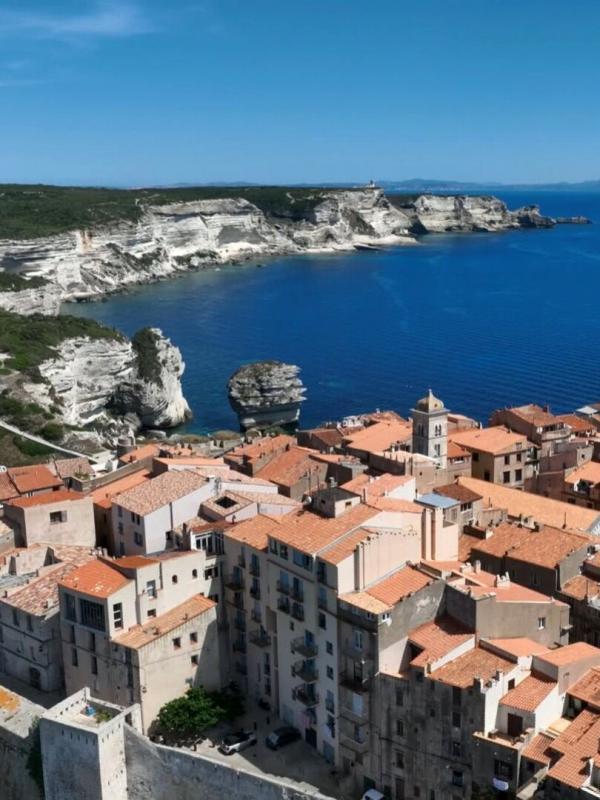 Des racines et des ailes