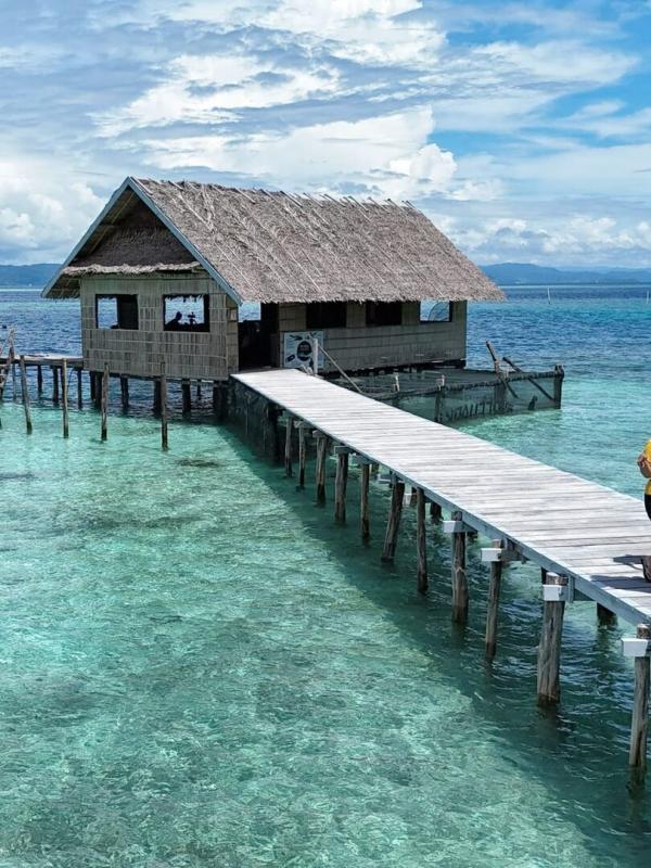 Bonnes nouvelles de la planète