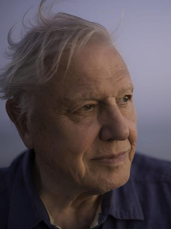 Le tour du monde de David Attenborough