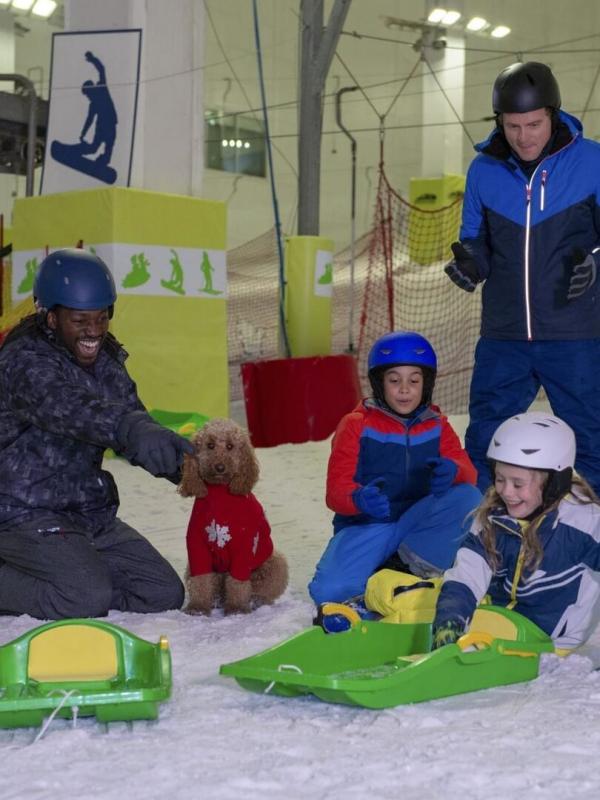 Waffle, le chien waouh S2 E21