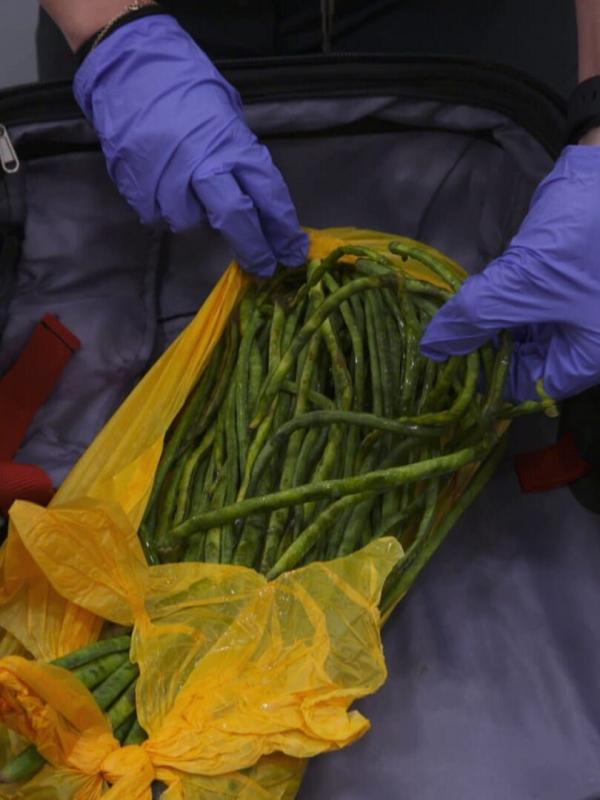 Au cœur des douanes : Espagne