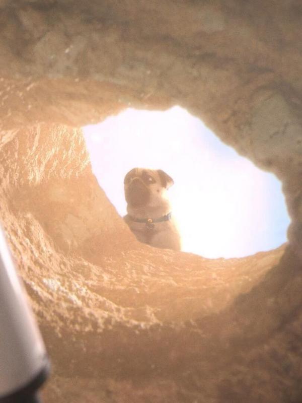 Machtige Mike S1 E74