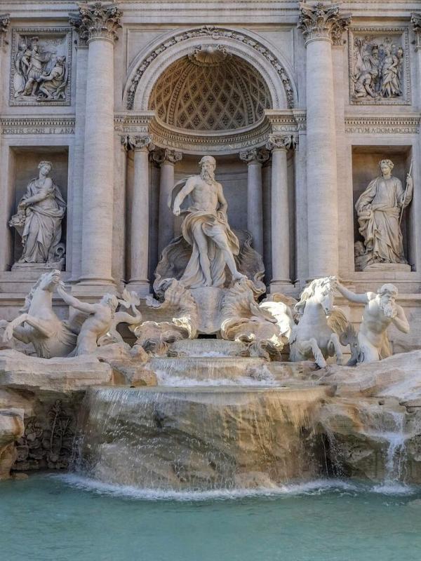 Des racines et des ailes