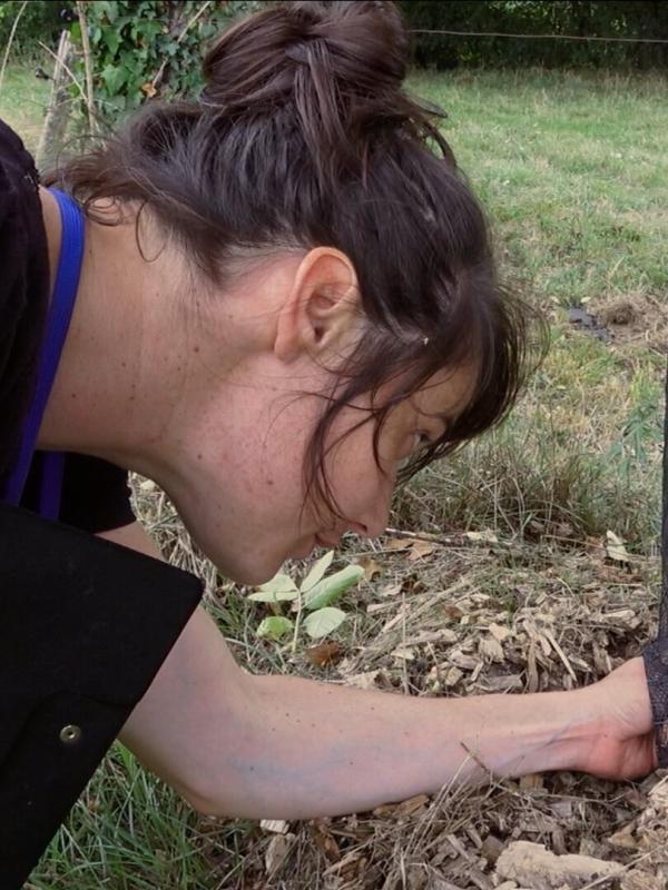 Le village qui voulait replanter des arbres
