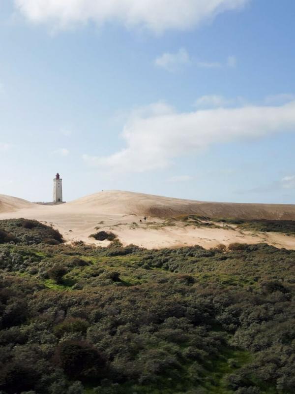 Leben an der Nordsee