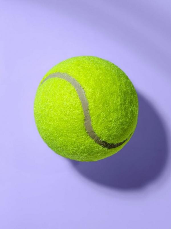 Tennis : Open de Mérida