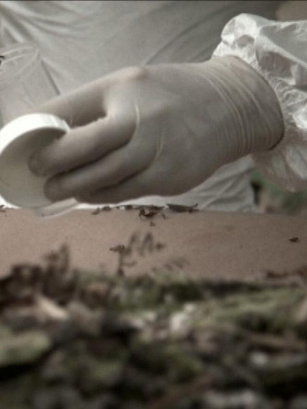 Sur la scène du crime