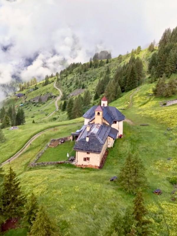 Des racines et des ailes