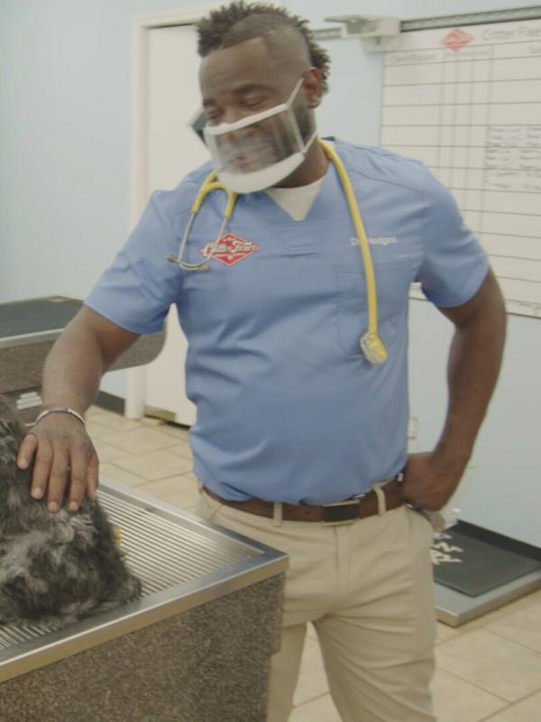 Critter Fixers : Vétos de choc