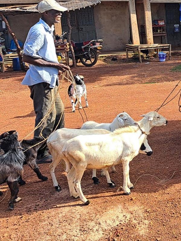 Itinéraires sauvages