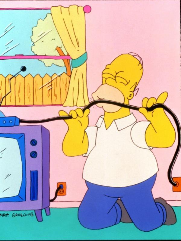 Les Simpson S2 E13