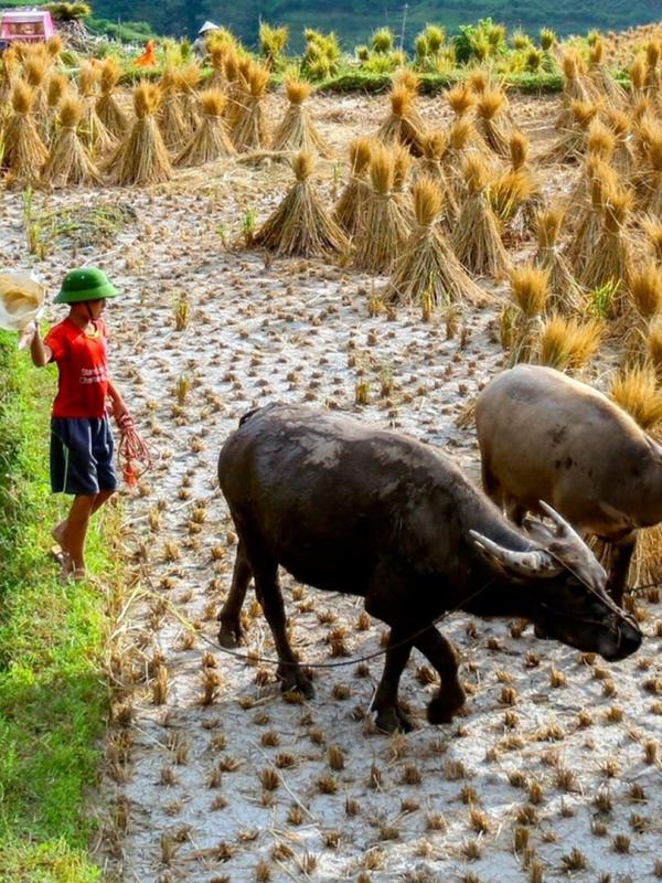 Mit dem Zug durch Vietnam
