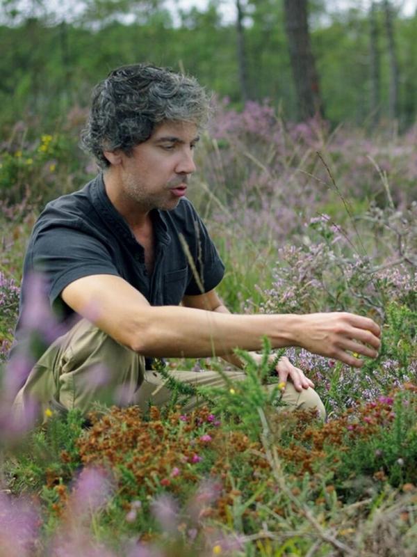 Les promesses de la terre