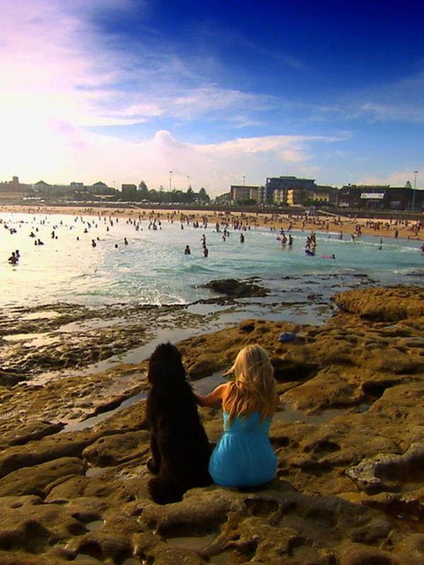 Le vétérinaire de Bondi Beach