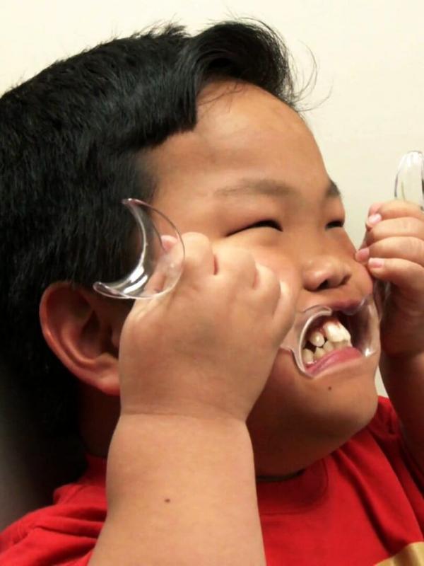 La petite famille Johnston