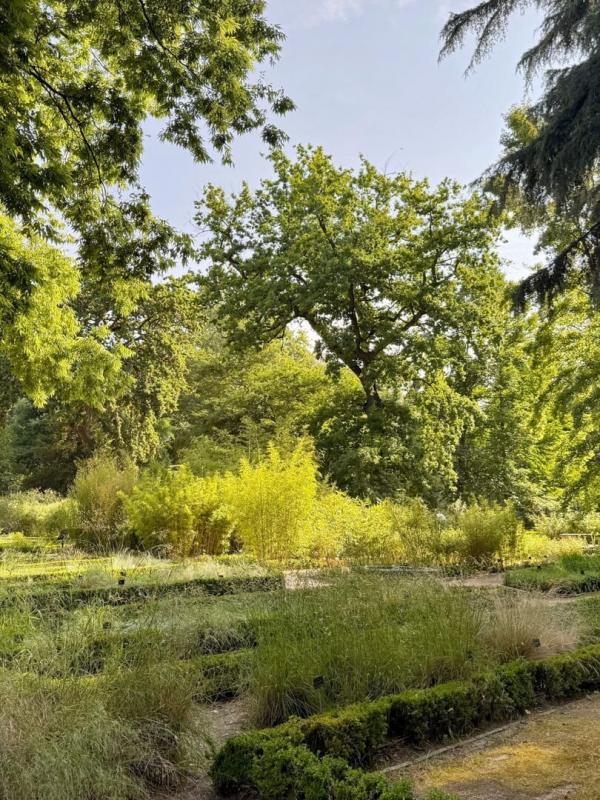 Königliche Gärten - Der Königliche Botanische Garten von Madrid
