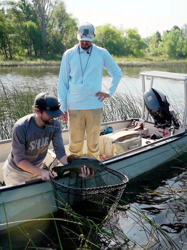 A la mouche sur les flats du fleuve Saint-Laurent