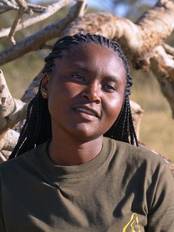 Démocraties animales