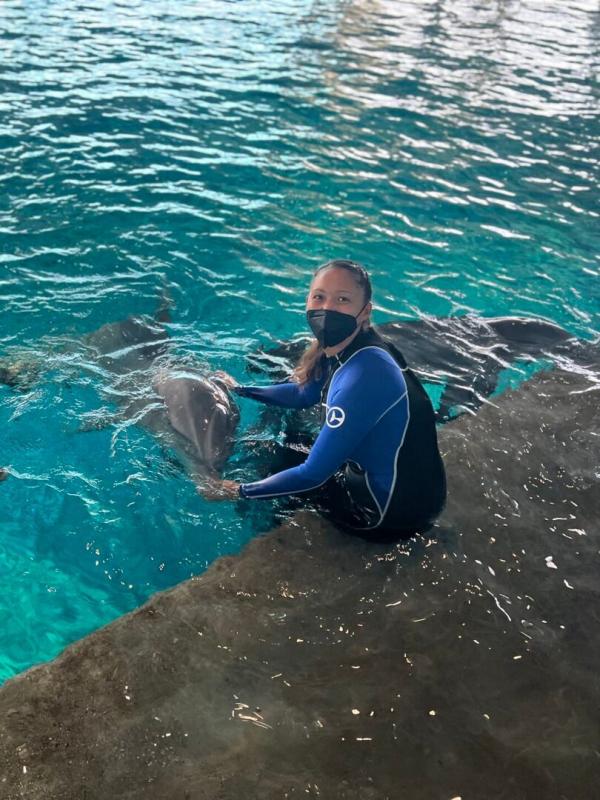 Requins vs Dauphins : la guerre des Bahamas