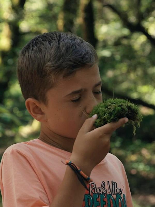 Nos mains dans la terre, l'aventure des enfants et des arbres