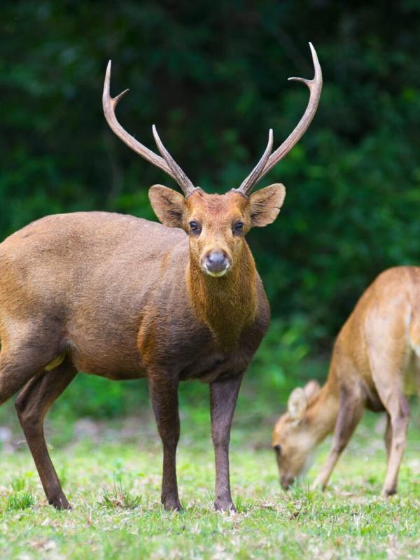 Québec à vol d'oiseau