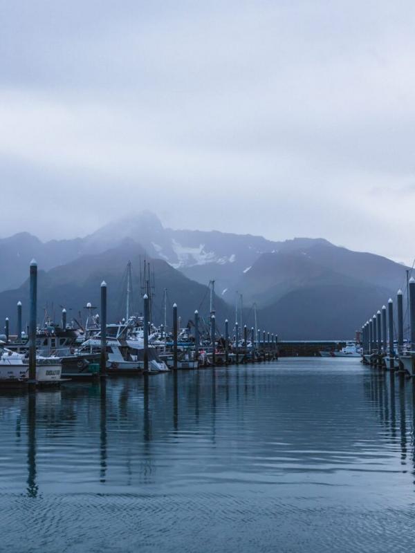 J'irai dormir chez vous