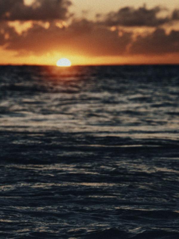 Pirates : Au-delà des légendes