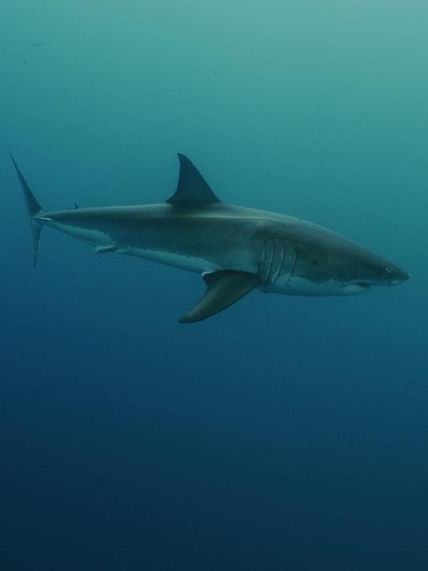 Journal Météo climat