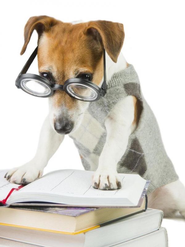 Des livres et vous