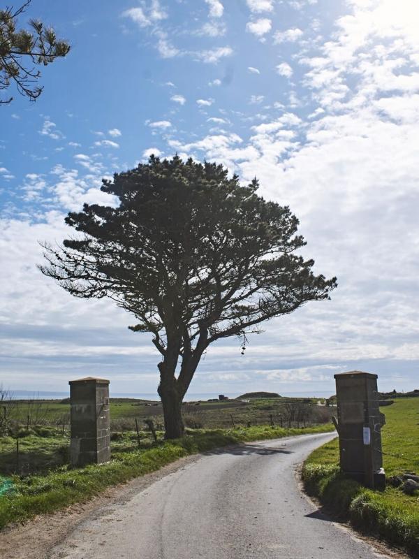 Aurigny, l'île britannique d'Hitler