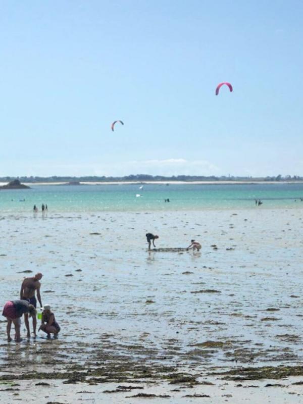 Invitation au voyage