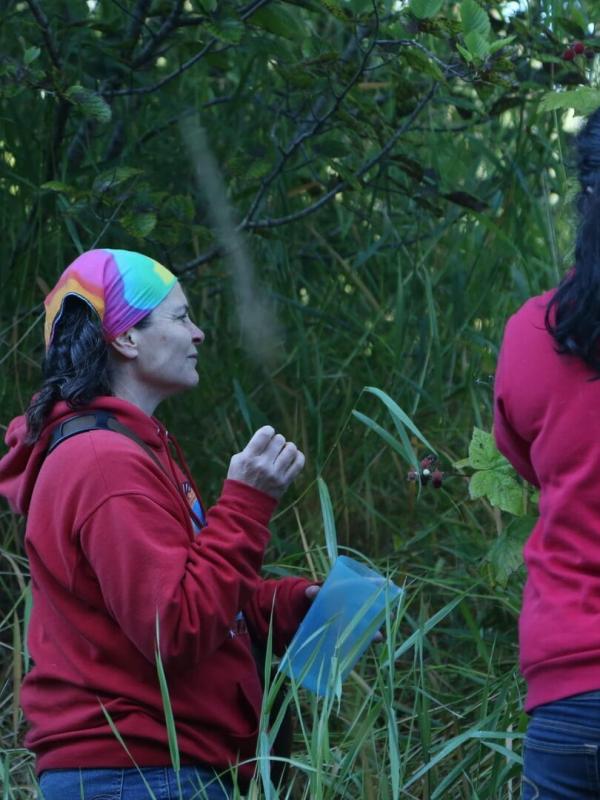 Alaska : seuls au monde