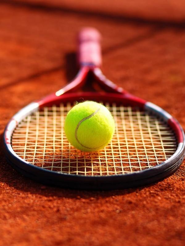 Tournoi ATP de Bucarest