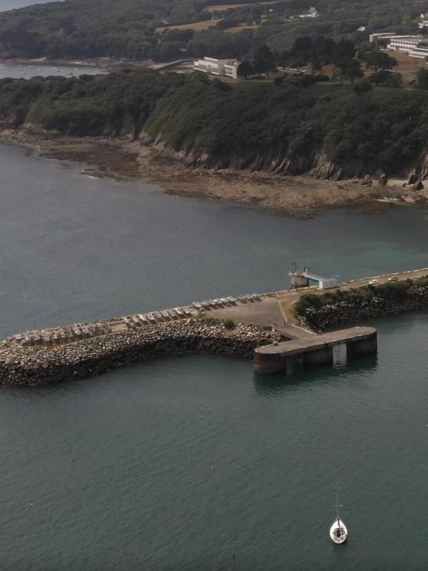 L'odyssée de la coquille Saint-Jacques