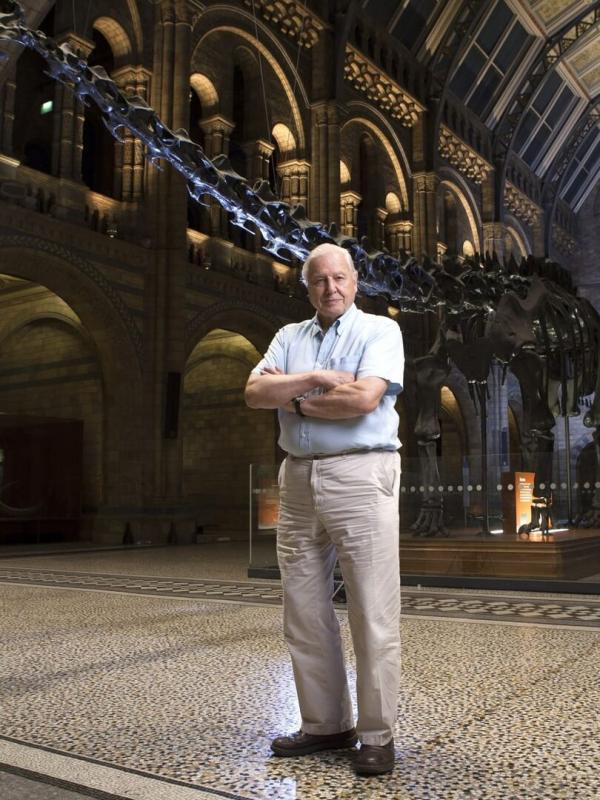 Le tour du monde de David Attenborough