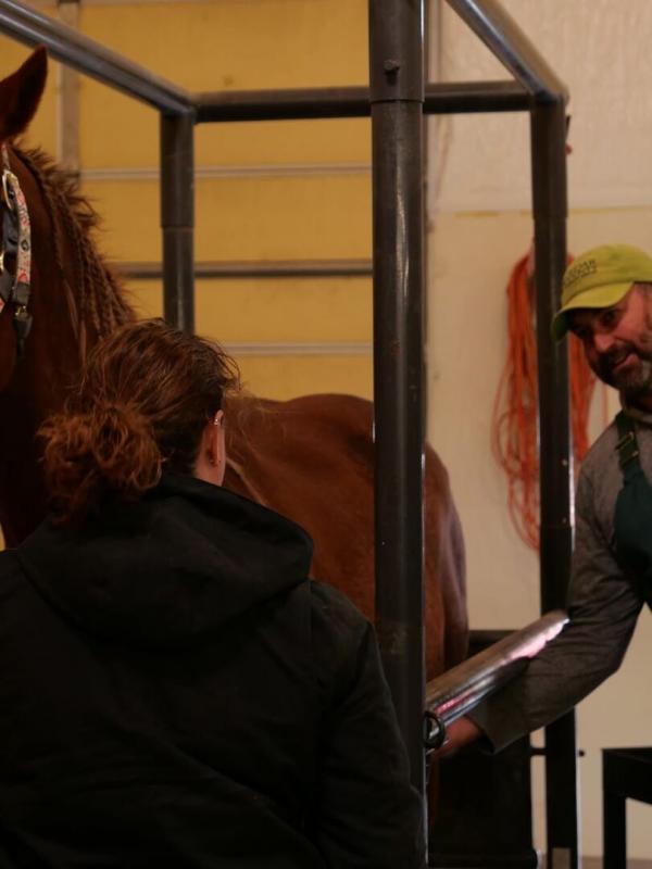 Les Vétérinaires du Midwest