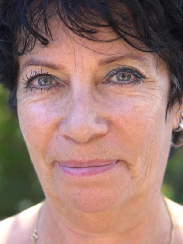 Chiens et chats sans collier